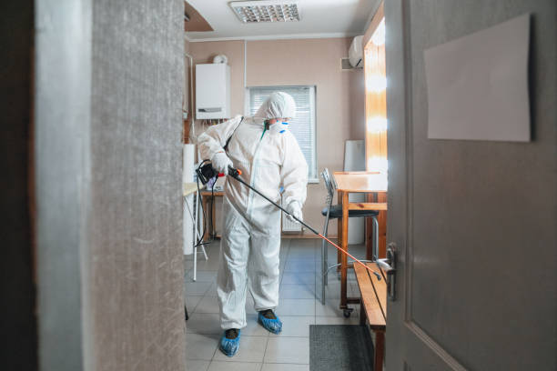 Best Comprehensive Air Testing for Mold Contaminants  in Daingerfield, TX