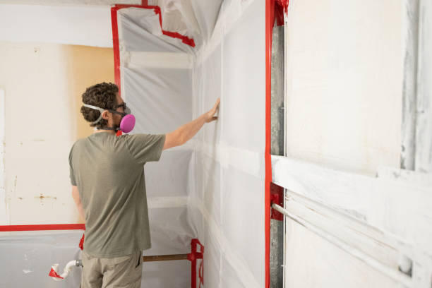 Best Attic Mold Removal  in Daingerfield, TX