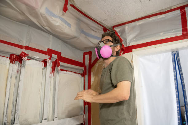 Best HVAC Mold Inspection and Cleaning  in Daingerfield, TX